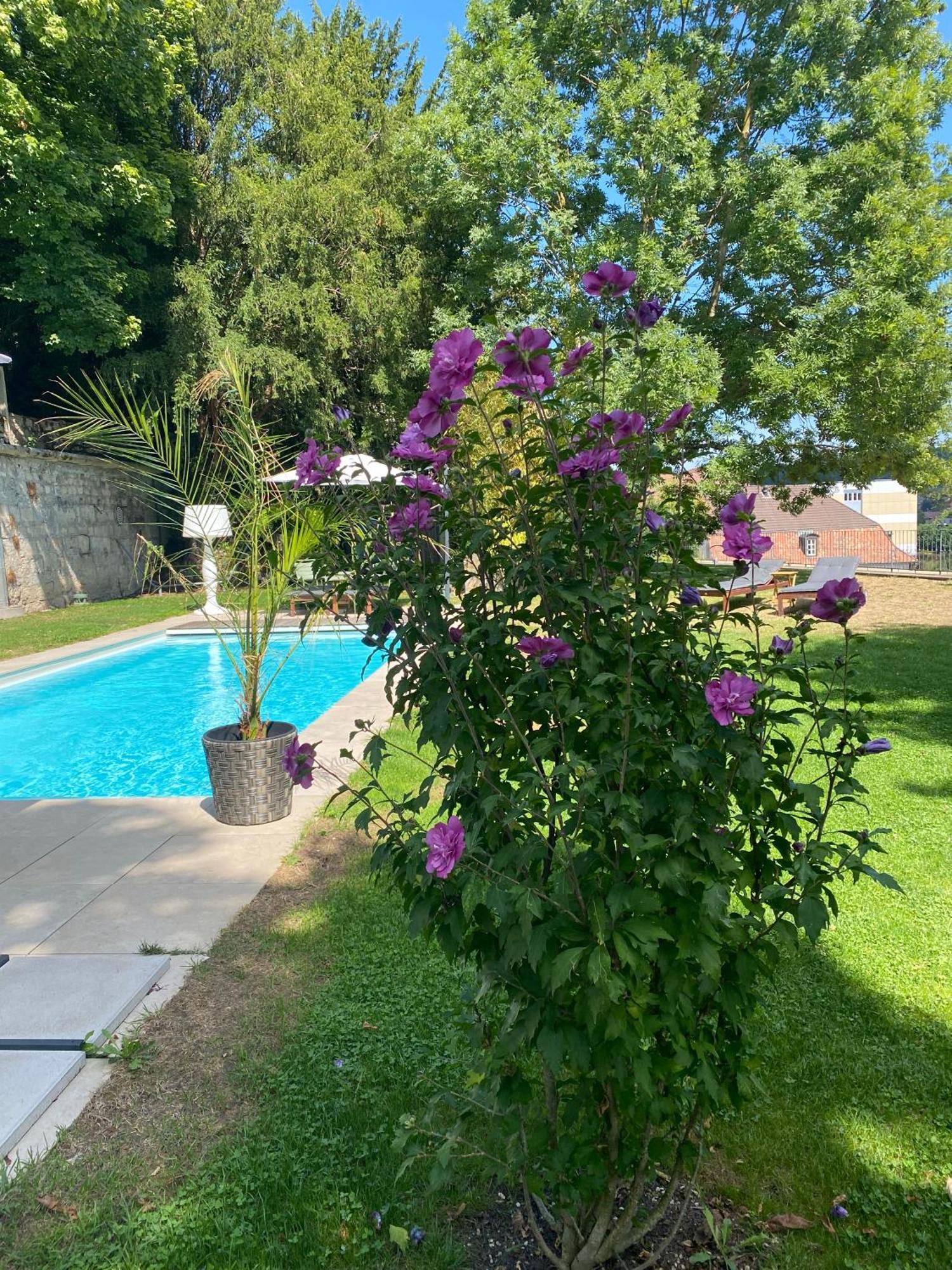 Manoir De La Cote-Dieu Porrentruy Εξωτερικό φωτογραφία