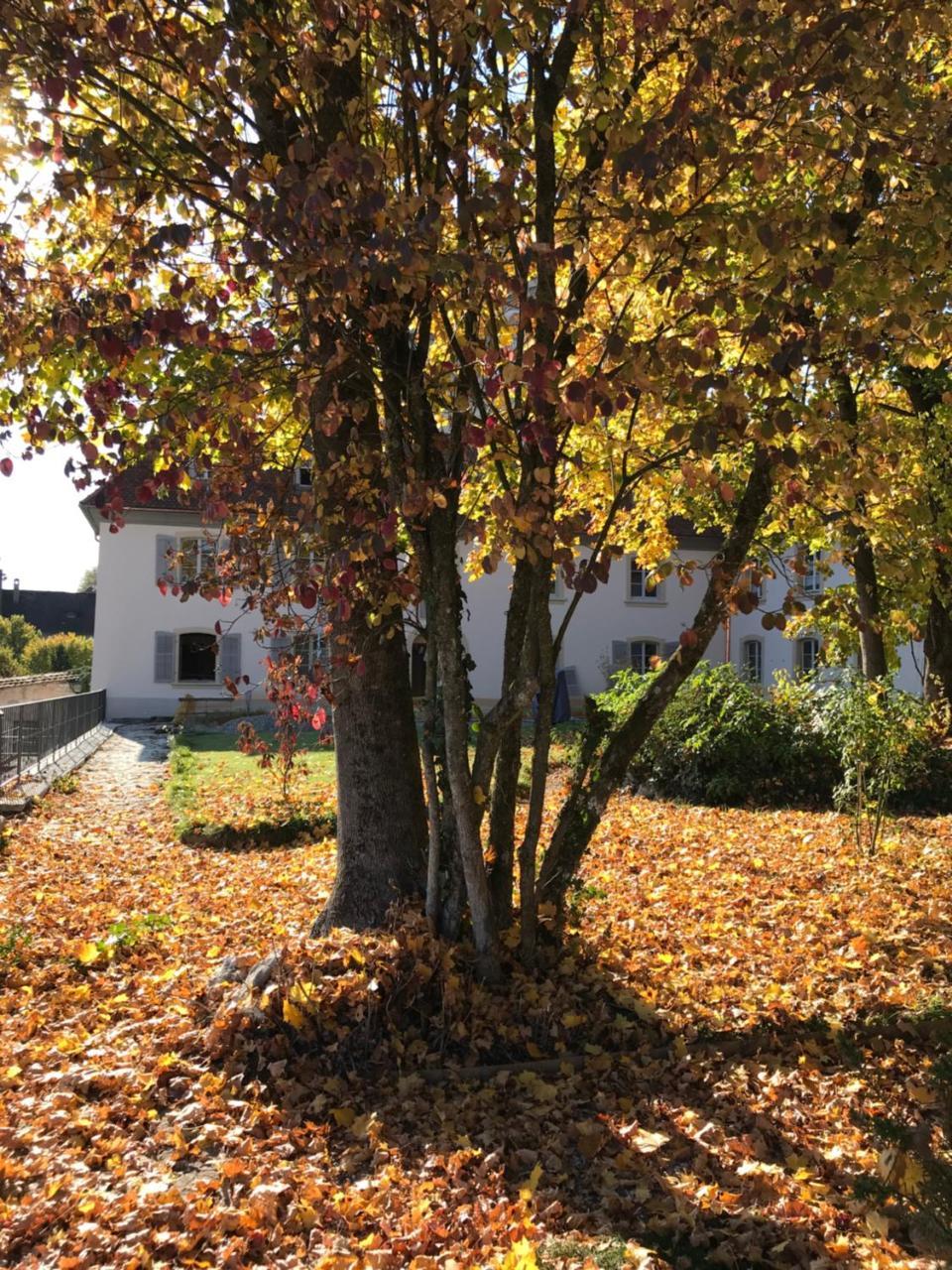 Manoir De La Cote-Dieu Porrentruy Εξωτερικό φωτογραφία